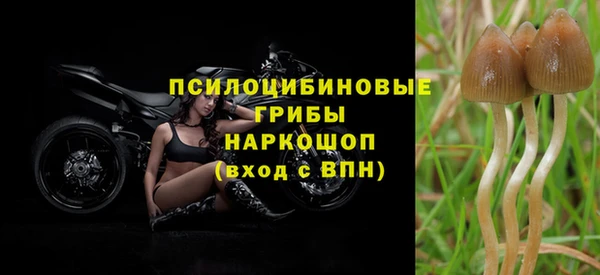 эйфоретик Нефтегорск
