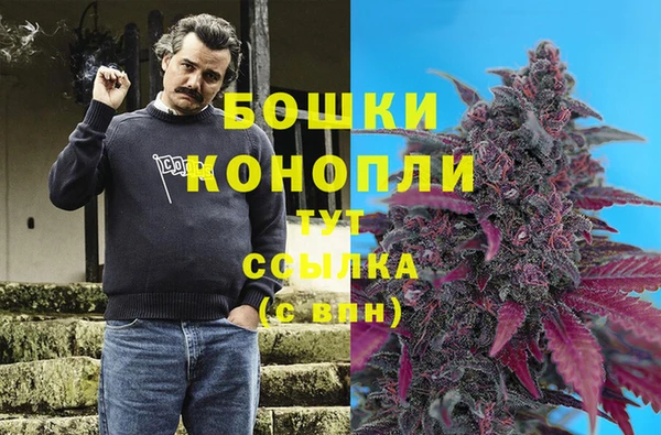 spice Нея
