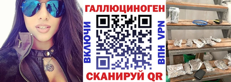Псилоцибиновые грибы Psilocybine cubensis  Гаджиево 
